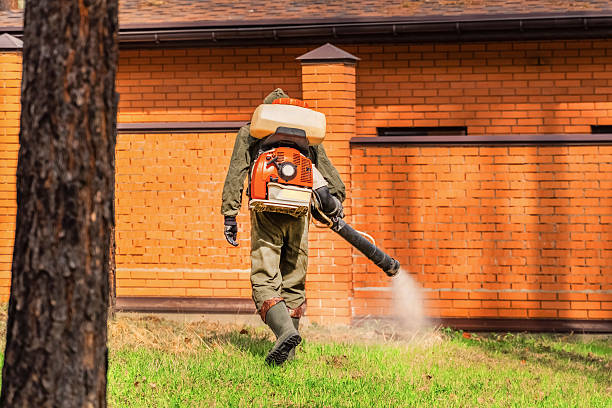 Trusted Fumigation Services service in Queen Creek, AZ - Nex Pest Control